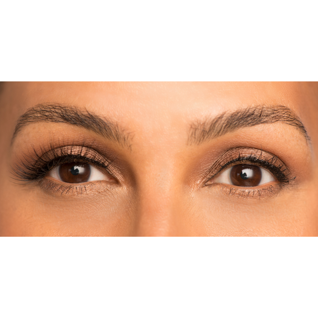 Show Stopper Eyelash Kit